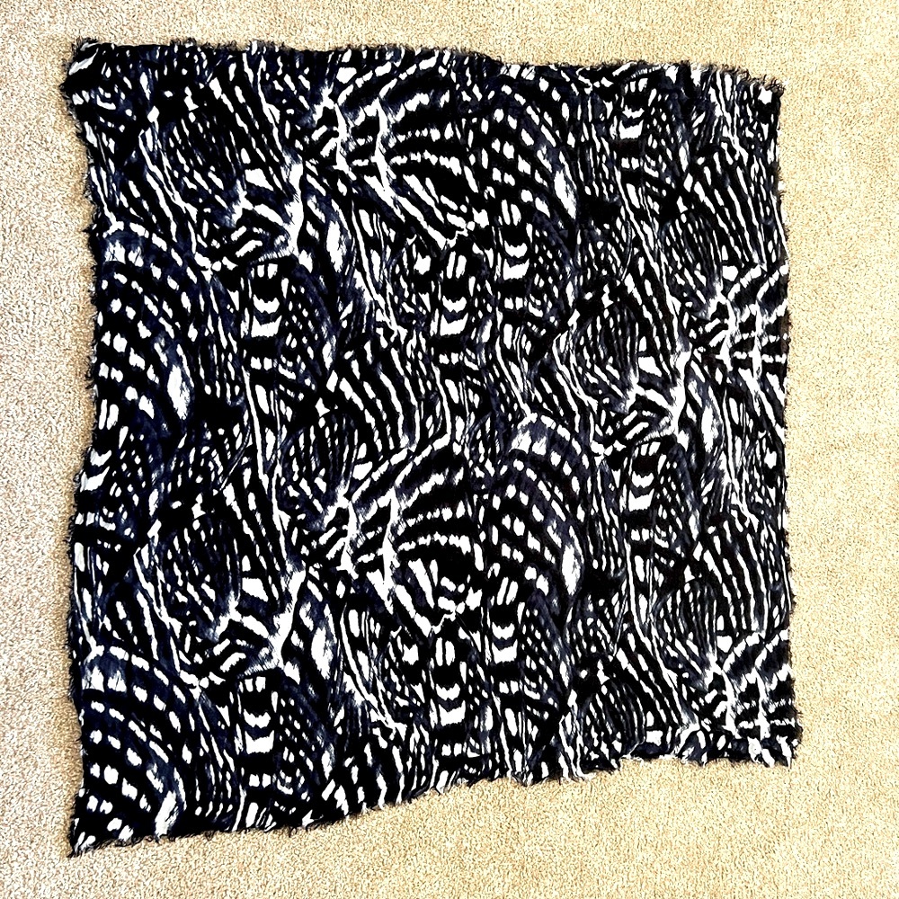 Soft Scarf from Express in Blue and White color. Fringe ends